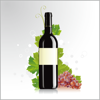葡萄酒百科  紅酒文化世界酒莊知識免費版HD