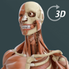 Visual Anatomy 3D | Human
